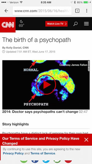 cnn-web