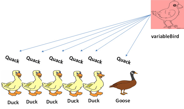 duck typing