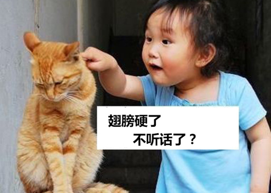 瞧不起