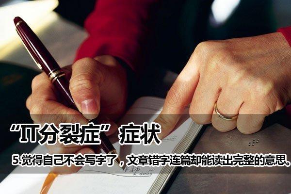 IT精神分裂症