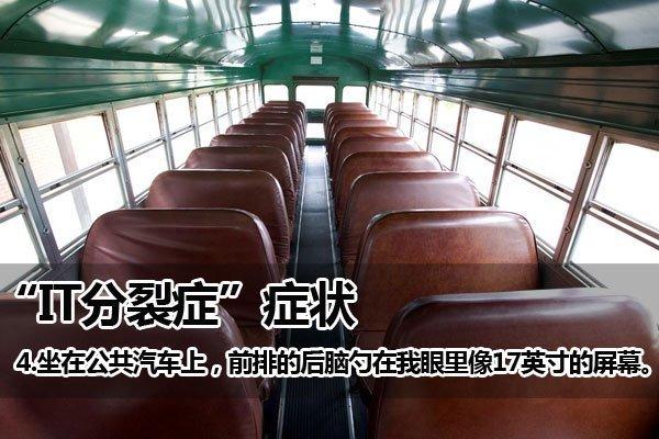 IT精神分裂症
