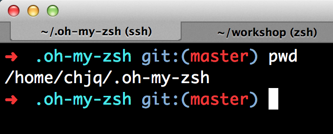 zsh1