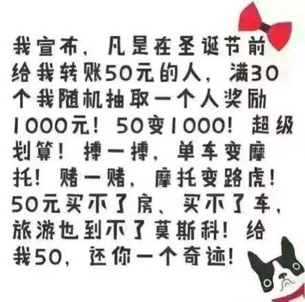 假如生活欺骗了你，找50个程序员问问为什么编程2