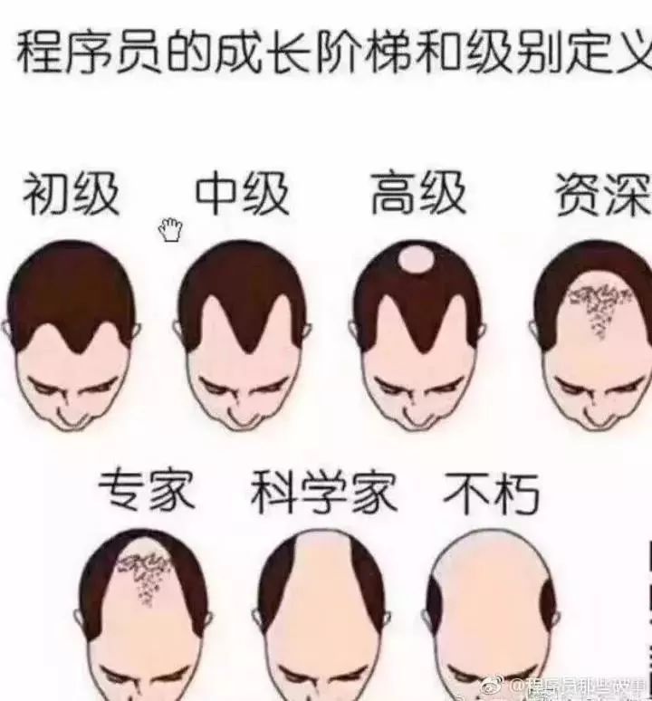图4：致程序员的一封信：去你的“油腻中年”！