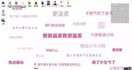 图13：纯属搞笑：程序员的桌面