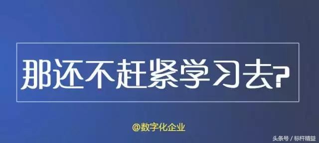 图39：想当程序员？改醒醒了！