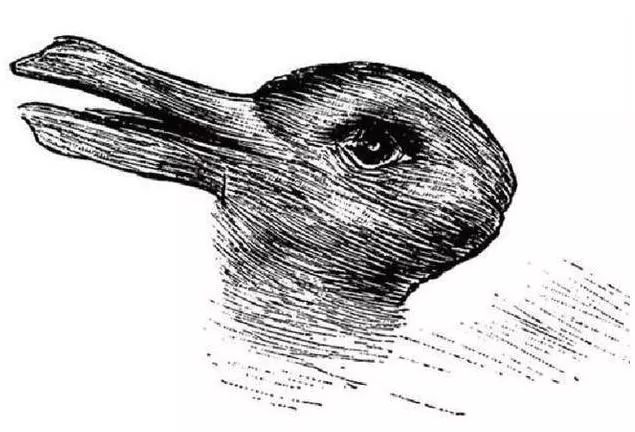 图0：兔子还是鸭子？谷歌AI居然被一张百年老图给难倒了