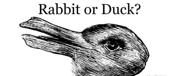 图4：兔子还是鸭子？谷歌AI居然被一张百年老图给难倒了