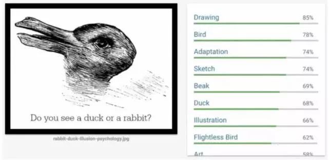 图5：兔子还是鸭子？谷歌AI居然被一张百年老图给难倒了