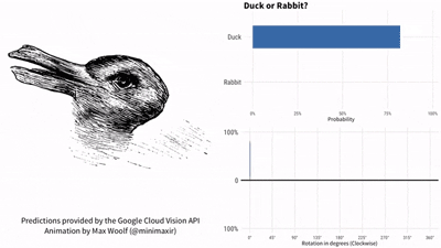 图6：兔子还是鸭子？谷歌AI居然被一张百年老图给难倒了