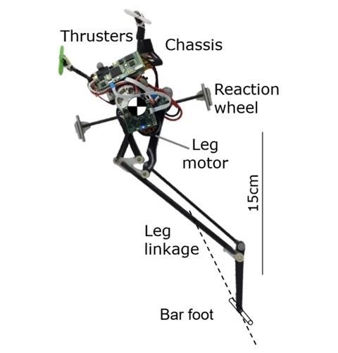 图1：加州大学的单腿跳跃机器人已能实现精准着陆