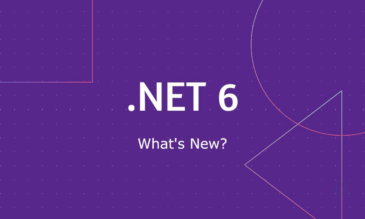 net 6 lts