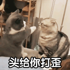 图0: Java如何写出同事看不懂的 Java 代码?